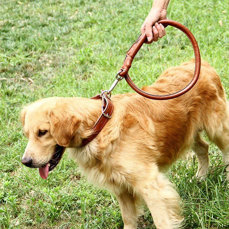 Dog Leash Medium and Large Dog Chain Leash Golden Retriever Labrador Husky Leather Chain Pet Collar