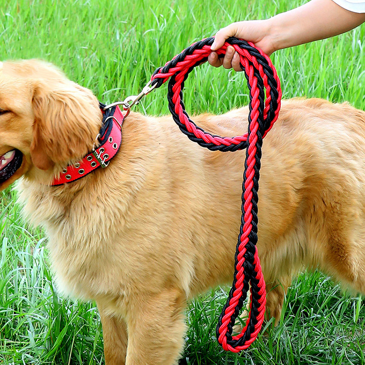 Middle Large Dog Dog Necklace Gold Mullabrado Hashippy Dog Traction Rope Walking Dog Rope Neckline P Chain Dog Rope