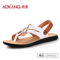 Апельсиновый красный/человек перетаскивает