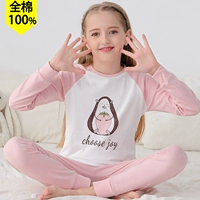 21621 целая модель хлопка