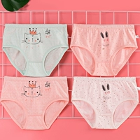 Коронный котенок