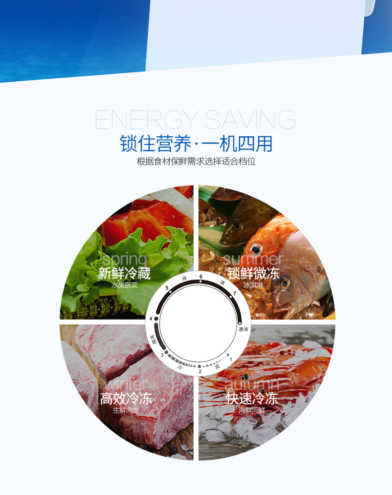 THAY ĐỔI Chen Jia BCBD (W) -227 lít hộ gia đình chuyển đổi nhiệt độ duy nhất tủ đông tủ đông thương mại - Tủ đông tủ đông sanaky 400 lít