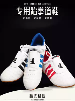 Taekwondo beginner taekwondo shoes lace-up beef tendon bottom children's adult soft-soled training breathable new training shoes