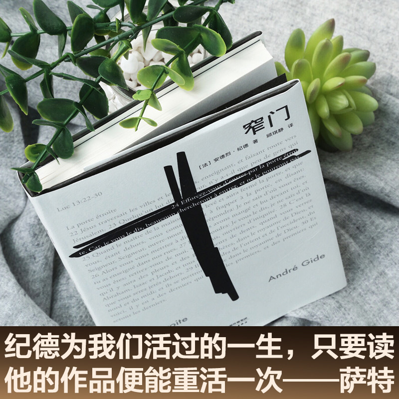 📚揭秘《窄门》:法文直译全新版,带你走进纪德的精神世界📖-外国小说-淘宝好物网