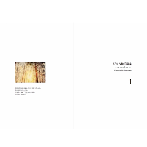 Это также зима, и весна Чи Зи, построенная с наградой MAO MAO, LU Awards и победителем Bingxin Prose Awards Book