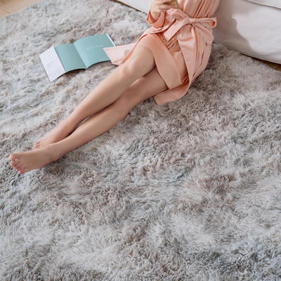 地毯卧室满铺大面积ins少女公主房间客厅茶几床边毯毛绒网红地垫