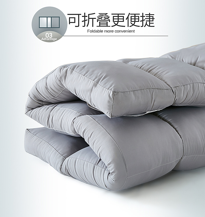 Khách sạn lông nhung dày 10cm ở Nam Cực nệm lười nệm 1,5m1,8m đệm giường - Nệm nệm cao su kymdan