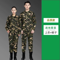 Качественный модель-Бэтлфилд