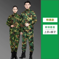 Специальное предложение GRASS GREEN