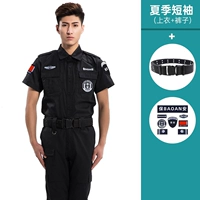 Летние короткие рукава [топ+брюки]+ремень+логотип