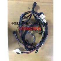 SINOTRUK Shandeka C7H left car door control wiring harness 712W25455-6066 SINOTRUK relatives original accessories