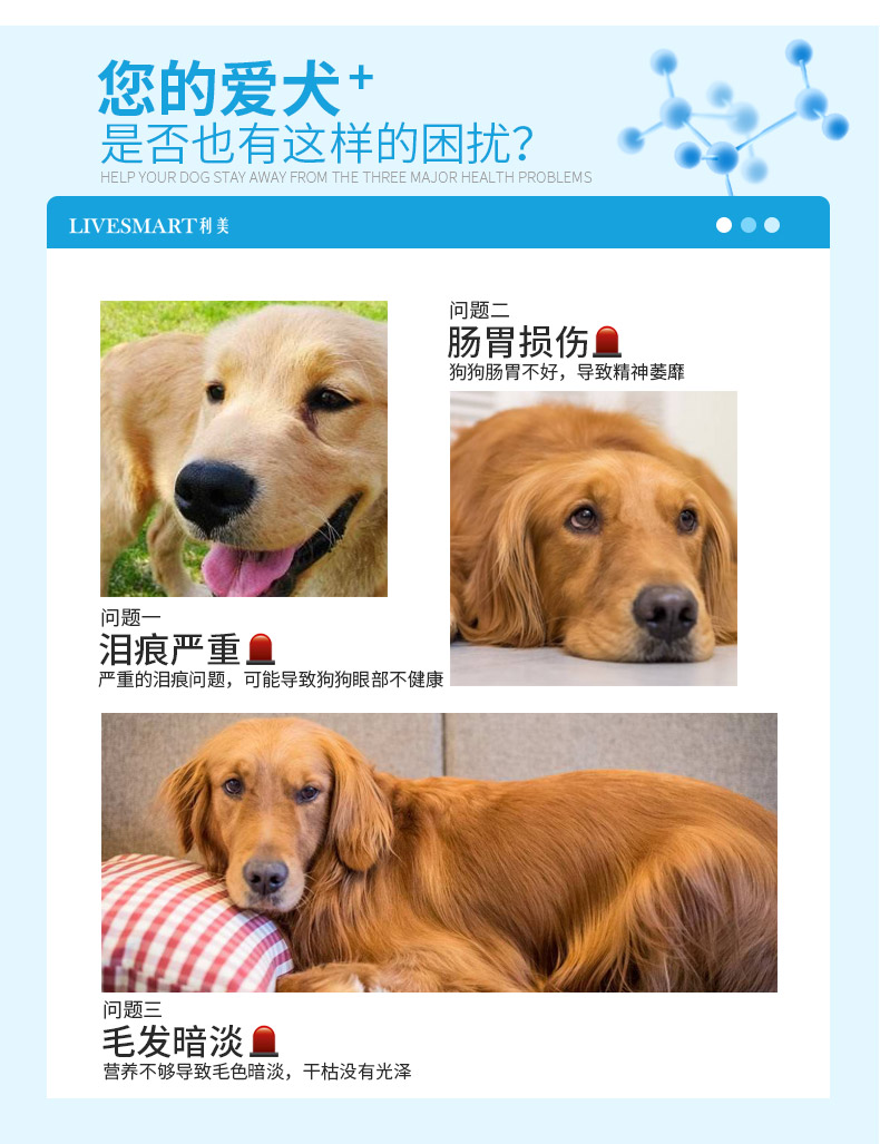Golden Retriever Dog Food Đặc biệt Chó trưởng thành Chó con 5 kg Chó lớn Labrador Bánh sữa Loại phổ 2 / 3-6 tháng Canxi - Chó Staples hạt zenith cho chó con
