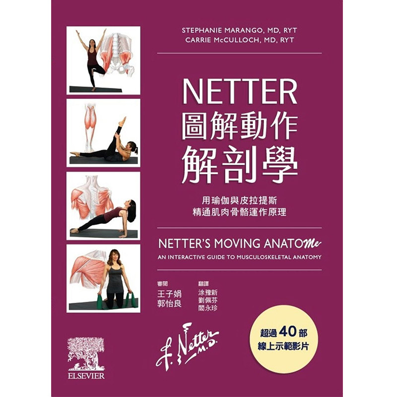 正版进口 Netter 图解动作解剖学 台湾爱思唯尔stephanie Marango