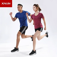 Bộ đồ thể thao cho nam và nữ mùa hè mỏng chạy bộ quần áo thể dục quần short tay ngắn cổ tròn quần áo nhanh khô quần áo thể thao - Thể thao sau quần áo chạy bộ 