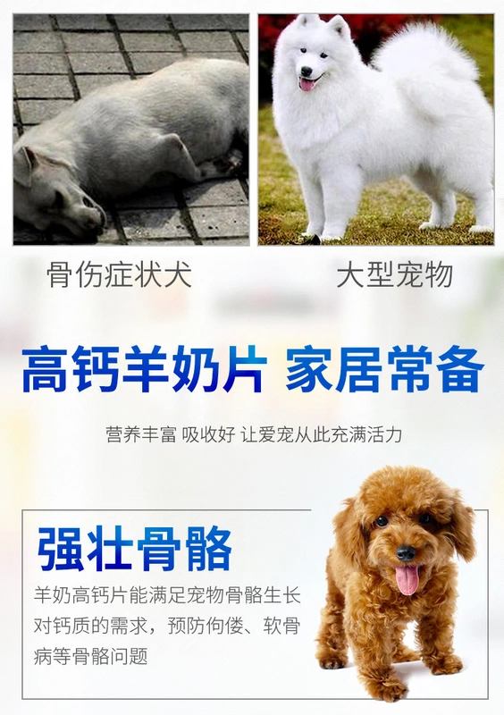 Chó canxi viên chó con xương canxi nhỏ vừa và lớn chó canxi viên Samoyed Teddy Golden Cat pet canxi viên - Cat / Dog Health bổ sung