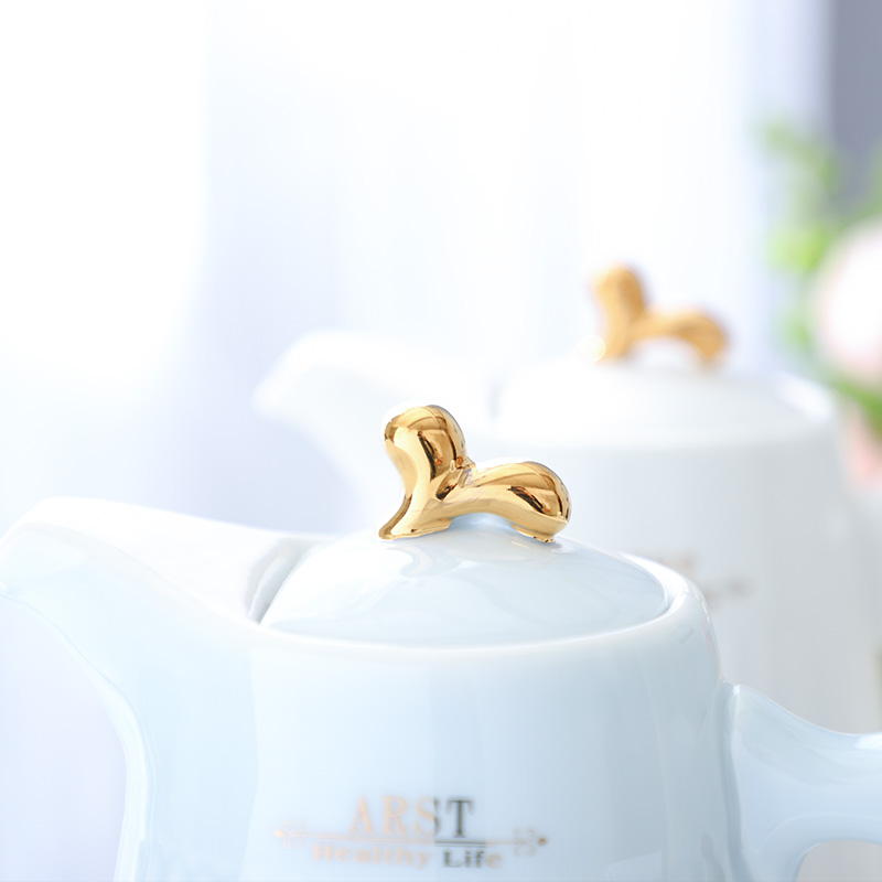 Ya cheng DE cold ceramic kettle north European contracted a cold kettle domestic large capacity with cover the summer fruit juice maker
