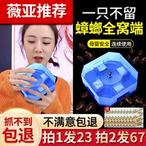 Cockroach medicine a nest of household Full-end artifact Buster non-non-toxic powerful driving cockroach catcher House lout