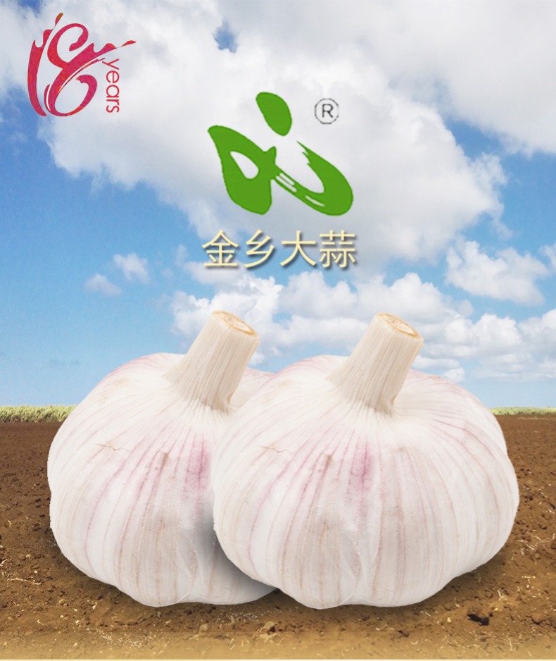 金乡 紫皮富硒大蒜 5斤装 直径5-5.5CM 图1