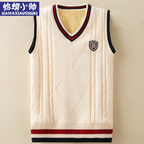 Boys spring vest knitted sweater Autumn and winter new spring and autumn childrens middle and large childrens sweater vest pure cotton boys