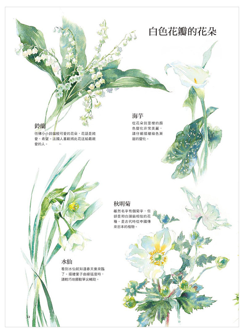 現貨 初學者的水彩基本功 輕松自學透明水彩花草繪繪畫技法港臺原版圖書籍臺版正版進口繁體中文藝術書籍圖書 秦工坊 Yahoo奇摩拍賣