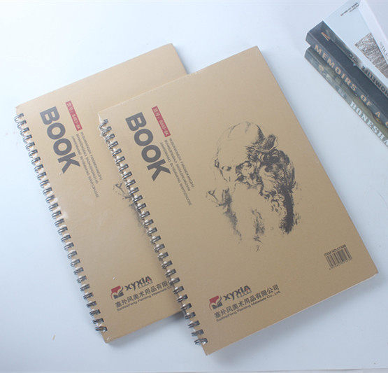 Skybook Hardfacial Art SkyPaper students use 4k speed to open painting for paper painting as one child