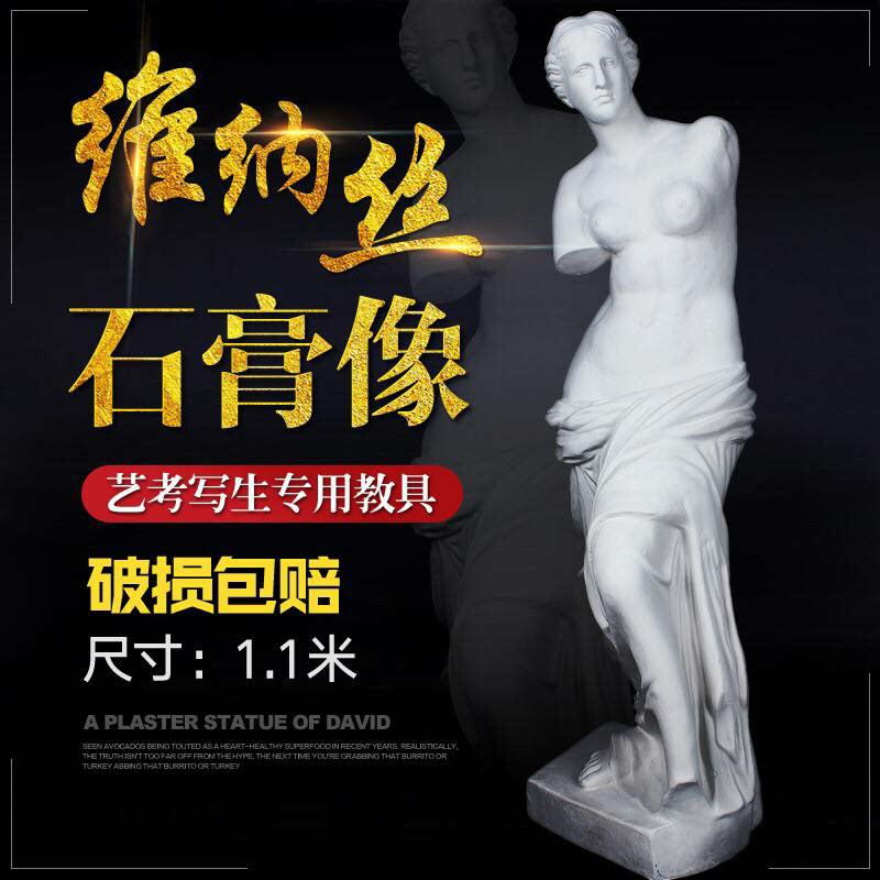 Broken arm Venus plaster Pixel drawing art character head Plaster teaching aids Full body sculpture ornaments Venus statue