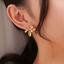 Simple and rounded freshwater pearl earrings single HOT earrings gilded tree leaves plants niche exquisite and elegant earrings