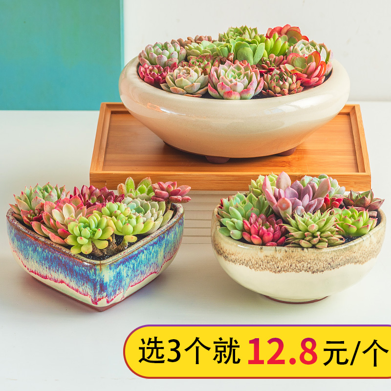Large fleshy flowerpot fleshy green plant flowers, flower pot contracted individuality creative Large - diameter platter ceramics