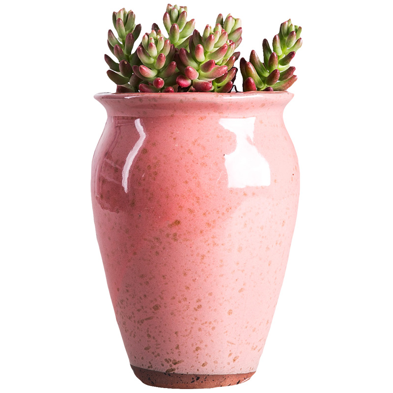 Meaty plant rose coarse pottery pot set ceramic flower POTS, fleshy contracted purple wizard gop running high pot