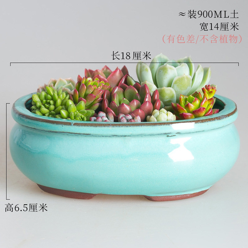 Large plant pot is more meat flowerpot more coarse pottery creative Large - diameter platter ceramic green the plants