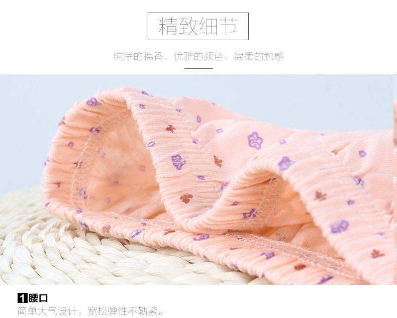 Slip Moyen-âge FDD6003K en coton - Ref 645077 Image 14