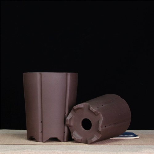 Самостоятельный бутик -бутик -бутик -фиолетовый песчаный горшок с крупным калибром орхидеи мясной горшок с цветочным горшками, джентльменская орхидея керамическая кастрюль