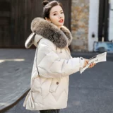 Модный пуховик с пухом, куртка, популярно в интернете, коллекция 2021, подходит для подростков