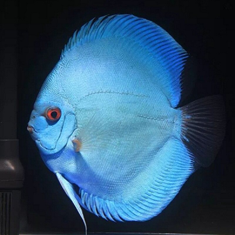 水宠世界水族馆