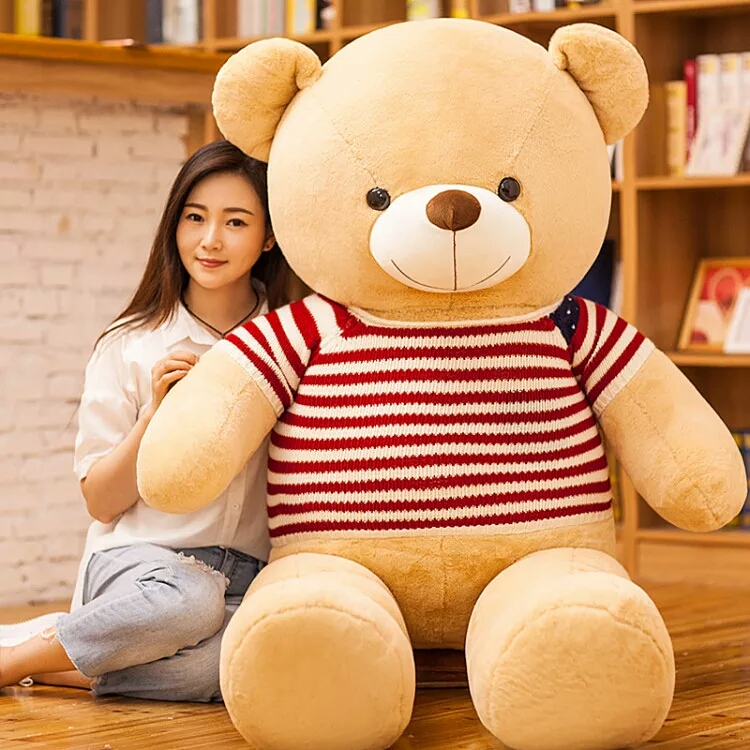 korean teddy bear