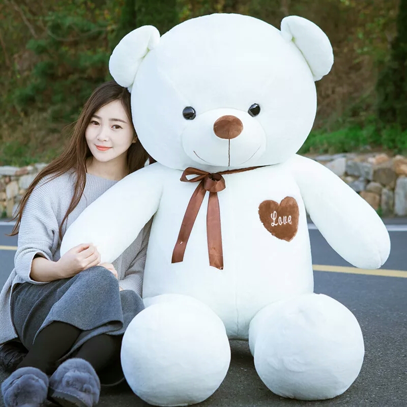 korean teddy bear