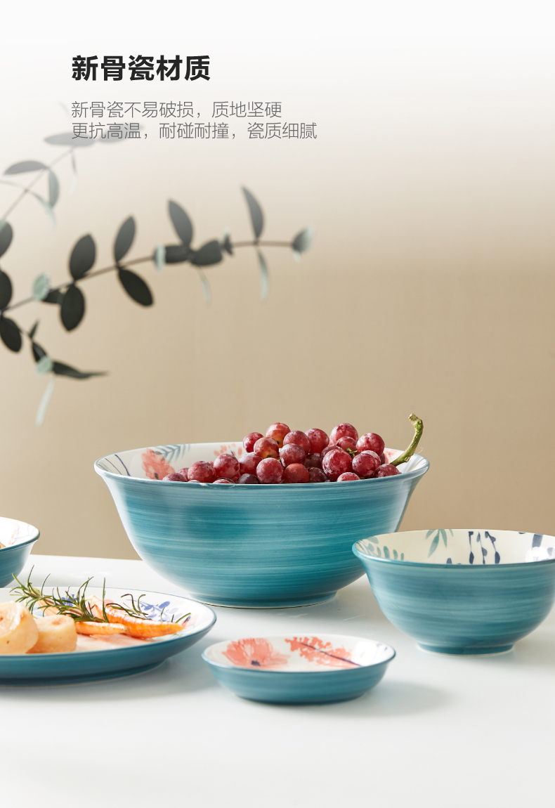 Japanese household hand - made ceramic tableware for a single job in the salad bowl of creative move set bowl plate combination