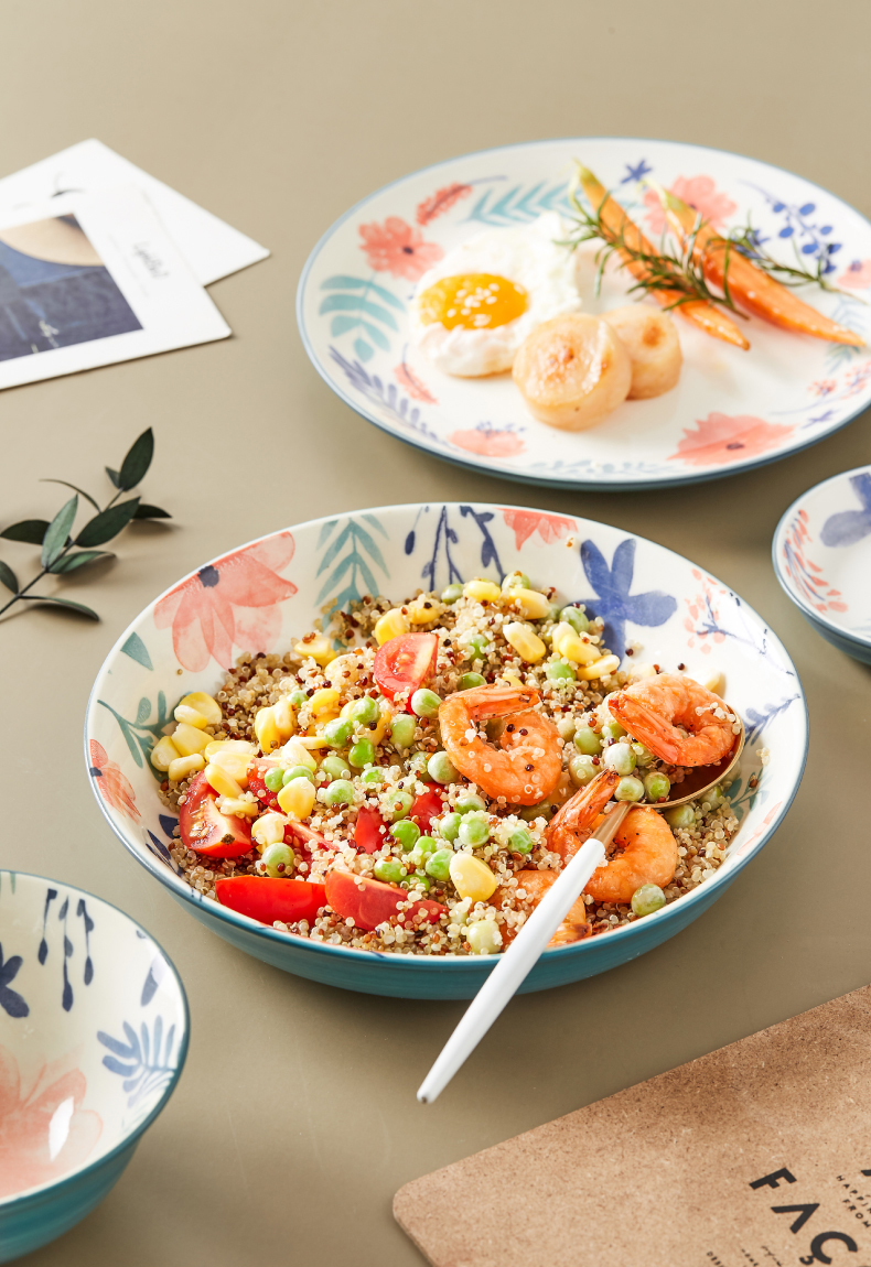 Japanese household hand - made ceramic tableware for a single job in the salad bowl of creative move set bowl plate combination