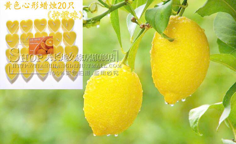 Bougie      - Ref 2488138 Image 10