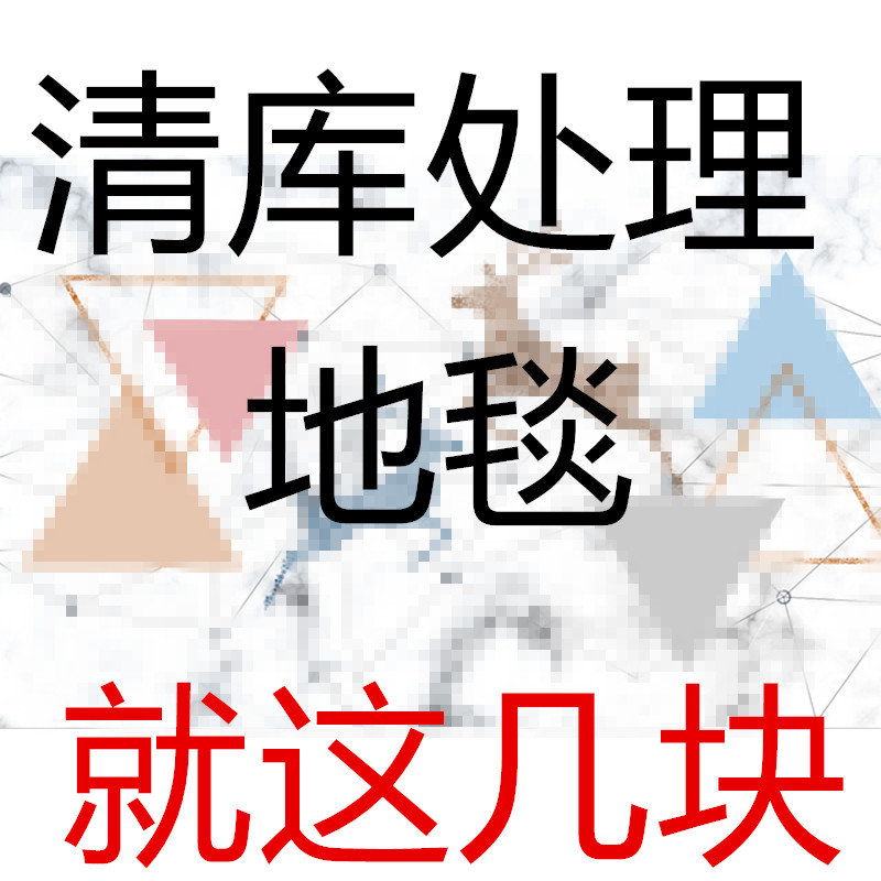 ins Nordic Living room Sofa tea table Carpet minimalist modern bedroom bedside floor padded room light and luxurious home cushions