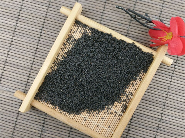 明列子的功效与作用,桑葚的效与作用,鱼腥草的效与作用(第12页)_大山谷图库