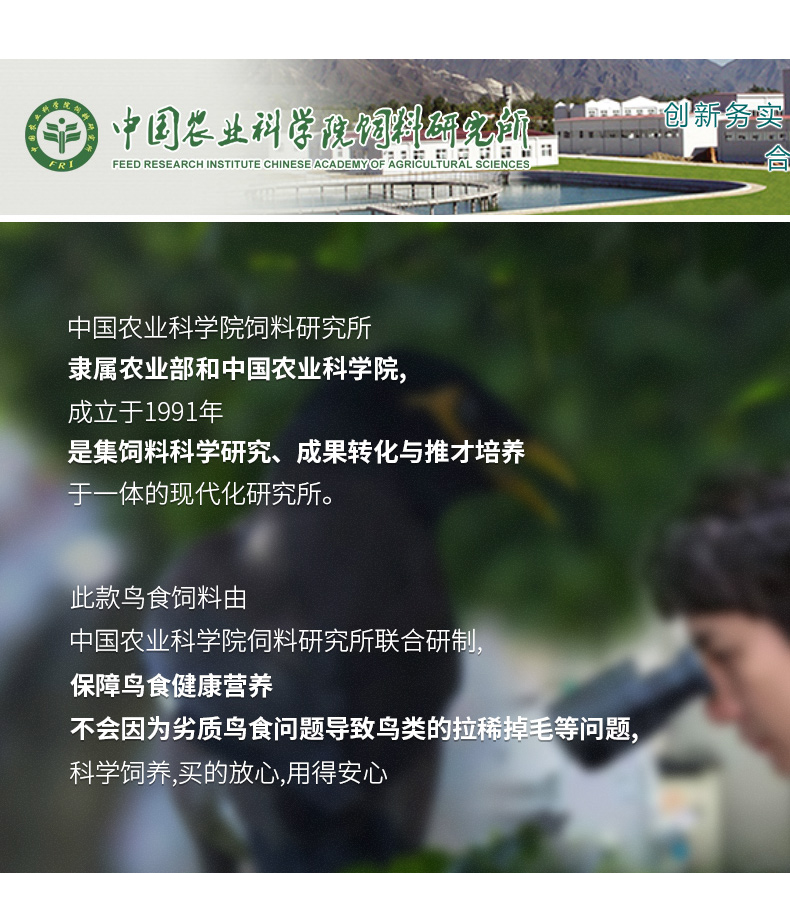 5 cửa hàng đóng gói starling thức ăn cho chim thức ăn đặc biệt thức ăn cho chim lark thức ăn cho chim thú cưng cung cấp thức ăn cho chim 5 kg - Chim & Chăm sóc chim Supplies cám cho chim bồ câu