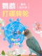 威毕宠物鹦鹉啃咬解闷发泄玩具转转乐鸟玩具鸟笼解压多彩装饰用品