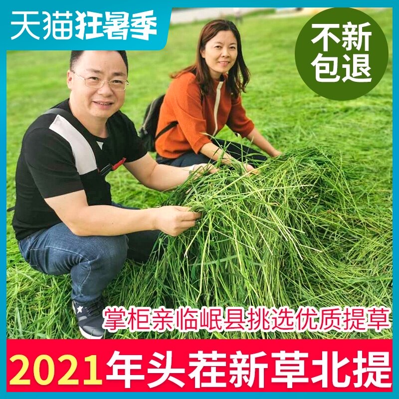 Timothy grass Rabbit feed food Dutch pig forage Hay forage Chinchilla food Young rabbit food Drying Beiti