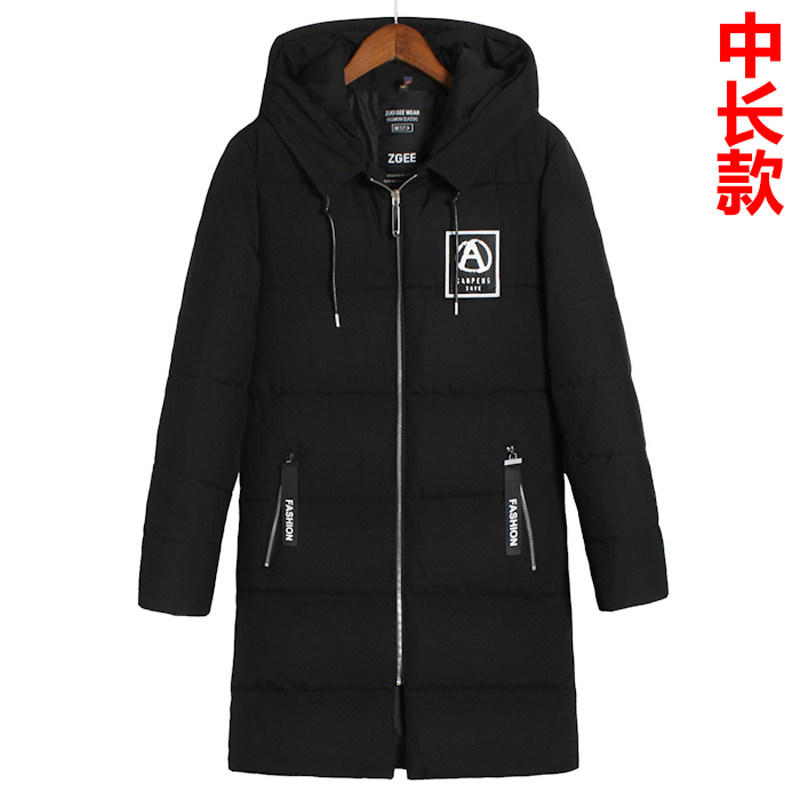 Blouson hiver pour homme DAMJOY     - Ref 3112432 Image 1