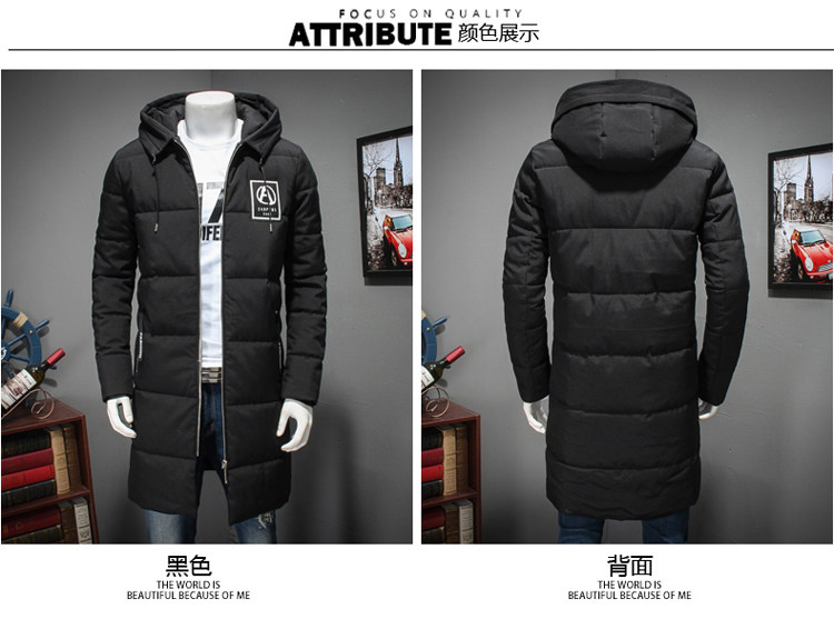 Blouson hiver pour homme DAMJOY     - Ref 3112432 Image 16