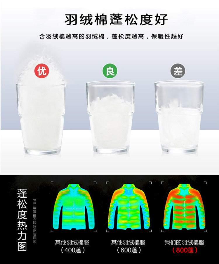 Blouson hiver pour homme DAMJOY     - Ref 3112432 Image 11