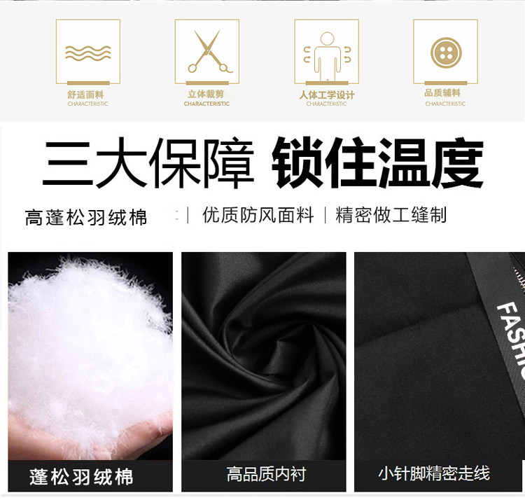 Blouson hiver pour homme DAMJOY     - Ref 3112432 Image 10