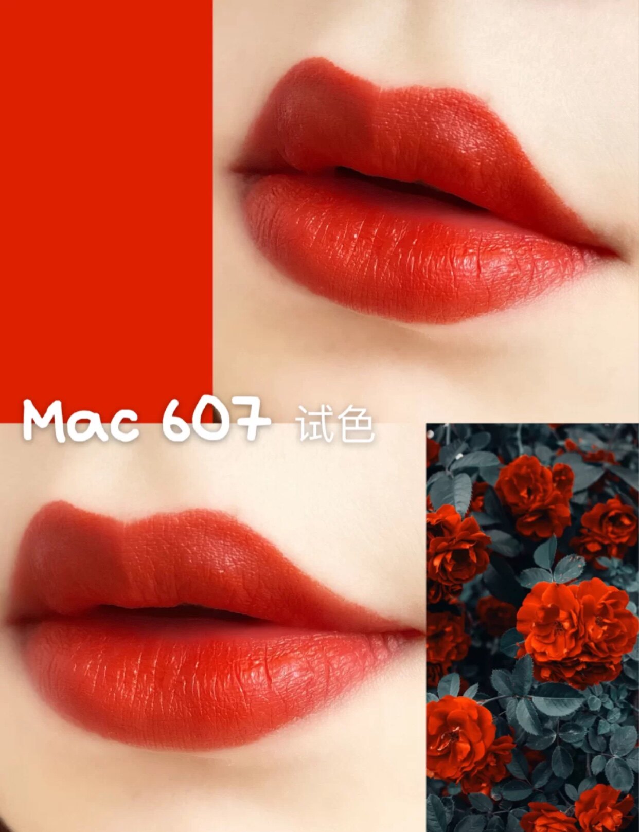 Meike MAC Lipstick 923 316 marrakesh lady danger chili rubywoo