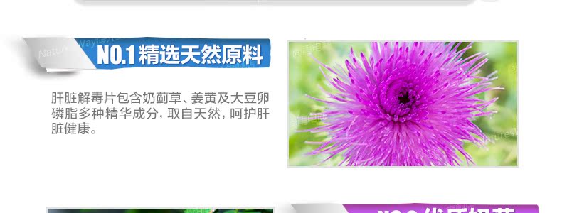 naturesway澳洲肝脏排毒片120粒奶蓟草解酒保肝 成人肝脏护理片 产品系列 第13张 naturesway澳洲肝脏排毒片120粒奶蓟草解酒保肝 成人肝脏护理片 产品系列 第13张